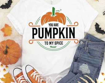 You Are Pumpkin To My Spice SVG, Thanksgiving SVG, Autumn SVG, Fall Season SVG, Harvest Festival, Pumpkin Clip Art, SVG files for Silhouette/Decals/Stickers and Cricut files, Digital Download.