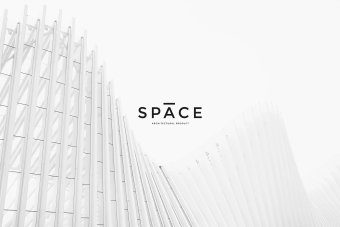 I Create Custom Logo Hand Drawing, Botanical Logo, Floral Logo, Feminine Logo, Beauty Logo, Minimalist Logo, Photography Logo, Boho Logo