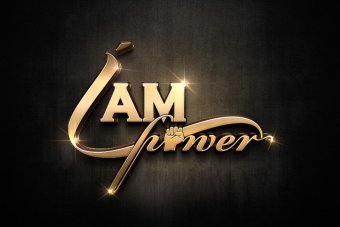 Custom Hand Drawn Logo, Logo Design, Logo Maker, Logo Creation, Professional Business Logo