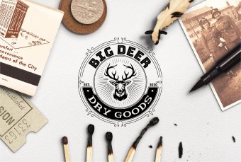 Logo, Custom Logo, Custom Logo Design, Logos & Branding, Professional Logo, Branding, Logos, Original Logo, Logo Branding, Custom Branding