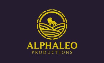 I Will Create Custom Logo Design for your Business Professional Logo Maker Logo Creation Logo Design Custom For Business Branding Kit