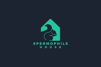 Logo Design custom for business, Instagram Highlight Icons, Watercolor logo, Minimalist Logo, Branding kit, Photography logo, Graphic Design