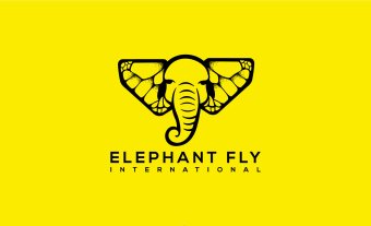 I Will Create Custom Logo Design for your Business Professional Logo Maker Logo Creation Logo Design Custom For Business Branding Kit