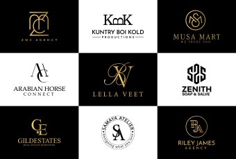 Logo Design Custom for Business, business logo design, professional logo design, minimal logo design, modern logo design, branding package